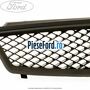 Grila radiator standard Ford Focus C-Max 2003-2007 1.6 Ti 115 cp HXDA, SIDA benzina