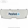 Grilaj separator portbagaj Ford Fiesta 2013-2017 1.0 EcoBoost 100 cp SFJA, SFJB, SFJC, SFJD benzina