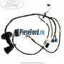 Instalatie electrica usa dreapta fata Ford Fusion 1.4 80 cp FXJA, FXJB, FXJC benzina
