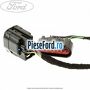 Instalatie electrica usa spate Ford Focus 2011-2014 1.6 EcoBoost 182 cp JTDA, JTDB benzina