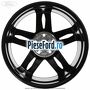 Janta aliaj 17 inch, 5 spite duble negru Ford C-Max 2016-2020 1.0 EcoBoost 100 cp M2DA, SFDA benzina | Foto 2