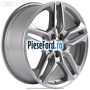 Janta aliaj 18 inch, 5 spite duble Ford Edge 2019-2022 2.0 EcoBlue AWD 238 cp YLCA, YLCB diesel