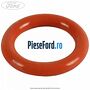 Oring mic pompa vacuum Ford Ranger 2002-2006 2.5 D 4x4 78 cp WL diesel