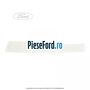 Ornament banda verticala usa dreapta KA Ford Ka 2009-2016 1.3 TDCi 75 cp 169A1000, FD4 diesel