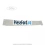 Ornament banda verticala usa dreapta KA Ford Ka 2009-2016 1.3 TDCi 75 cp 169A1000, FD4 diesel | Foto 2