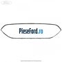 Ornament cromat grila bara fata Ford B-Max 1.5 TDCi 95 cp XVJA, XVJC diesel | Foto 4