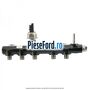 Rampa injectie dupa an 10/2014 Ford S-Max 2015-2023 2.0 TDCi 180 cp T8CG, T8CH, T8CI, T8CJ diesel