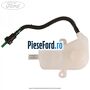 Rezervor lichid frana Ford Transit Custom 2014-2018 2.2 TDCi 155 cp CVFF diesel