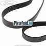 Set curea transmisie cu AC strechbelt Ford Fusion 1.4 80 cp FXJA, FXJB, FXJC benzina | Foto 3