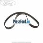 Set curea transmisie fara AC strechbelt Ford Fiesta 2008-2012 1.25 82 cp SNJA, SNJB, SNJC, SNJD benzina
