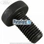 Surub 25 mm prindere interior usa spate Ford Kuga 2013-2016 1.5 EcoBoost 150 cp M8MA, M8MB, M8MC, M8MD, M8ME benzina