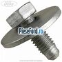 Surub prindere balama hayon Ford Ka 2009-2016 1.3 TDCi 75 cp 169A1000, FD4 diesel