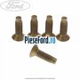 Surub prindere platnic usa 22 mm Ford Fiesta 1996-2001 1.0 i 52 cp ZH10JRB benzina