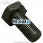 Surub prindere volanta hexagonal Ford Fiesta 1989-1996 1.8 D 60 cp RTC, RTD, RTG diesel