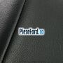 Tetiera scaun fata echipare lauren pewter Ford Fiesta 2005-2008 1.6 16V 100 cp FYJA, FYJB benzina