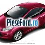Vopsea roz Blush, 9 ml Ford Ka 2009-2016 1.2 69 cp 169A4000, FP4 benzina