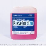 5 Antigel Ford HT-FVA Ready Mix culoare roz -35C 5L Ford Mondeo 2000-2007 ST220 226 cp