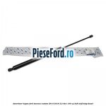 Amortizor hayon Ford Tourneo Custom 2014-2018 2.2 TDCi 100 cp