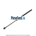 Amortizor hayon Ford Transit Connect 2013-2018 1.6 TDCi 75 cp