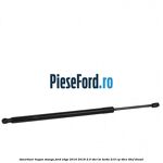 Amortizor hayon stanga Ford Edge 2016-2018 2.0 TDCi Bi-Turbo 210 cp