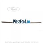 Bandou usa fata dreapta mid grey Ford C-Max 2007-2011 2.0 TDCi 110 cp