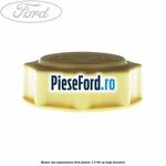 Buson vas expansiune Ford Fusion 1.3 60 cp