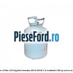 Butelie freon R134A 12.5 kg Ford Mondeo 2014-2018 1.0 EcoBoost 125 cp