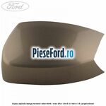 Capac oglinda stanga Tectonic Silver Ford C-Max 2011-2015 2.0 TDCi 115 cp