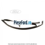 Cheder geam usa fata dreapta Ford Fusion 1.4 TDCi 68 cp