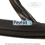Cheder geam usa fata stanga 5 usi Ford Fiesta 2005-2008 1.6 TDCi 90 cp