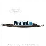 Cheder geam usa fata stanga Ford Fusion 1.4 80 cp