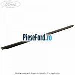 Cheder geam usa spate dreapta Ford Fusion 1.3 60 cp