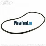 Cheder geam usa spate usa culisanta LWB Ford Tourneo Connect 2019-2023 1.5 EcoBlue 120 cp