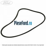 Cheder geam usa spate usa culisanta SWB Ford Tourneo Connect 2013-2018 1.6 TDCi 115 cp