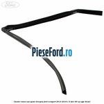 Cheder rama usa spate dreapta Ford EcoSport 2013-2018 1.5 TDCi 90 cp