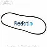 Cheder usa fata stanga Ford Transit 2014-2018 2.2 TDCi RWD 100 cp