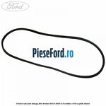 Cheder usa fata stanga Ford Transit 2019-2023 2.0 EcoBlue 150 cp