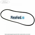 Cheder usa fata stanga Ford Transit 2019-2023 E-TRANSIT RWD 269  cp