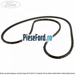 Cheder usa fata stanga, pe usa Ford Kuga 2013-2016 1.5 EcoBoost 150 cp