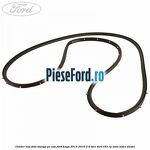 Cheder usa fata stanga, pe usa Ford Kuga 2013-2016 2.0 TDCi 4x4 163 cp