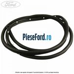 Cheder usa spate dreapta 5 usi Ford Fusion 1.3 60 cp