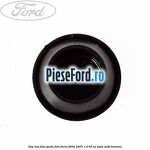 Dop usa fata spate Ford Focus 2004-2007 1.4 80 cp