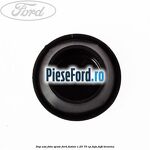 Dop usa fata spate Ford Fusion 1.25 75 cp