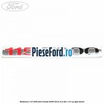 Emblema 115 T300 Ford Transit 2006-2014 2.2 TDCi 110 cp QVFA diesel