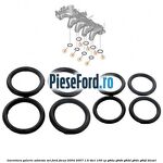 Garnitura galerie admisie set Ford Focus 2004-2007 1.6 TDCi 109 cp G8DA, G8DB, G8DD, G8DE, G8DF diesel