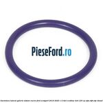 Garnitura lateral galerie sistem racire Ford EcoSport 2019-2023 1.5 TDCi EcoBlue 4x4 125 cp