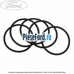 Garnitura oring pompa injectie Ford Ka 2009-2016 1.3 TDCi 75 cp