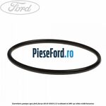 Garnitura pompa apa Ford Focus 2019-2023 2.3 EcoBoost ST 280 cp