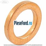 Garnitura surub banjo furtun frana Ford Fiesta 2013-2017 1.25 60 cp STJA, STJB, STJC, STJD benzina