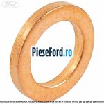 Garnitura surub banjo furtun frana Ford Fiesta Active 2018-2023 1.0 EcoBoost 101 cp